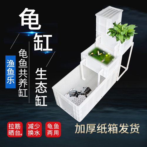 雄泽龟鱼共养生态缸饲养缸