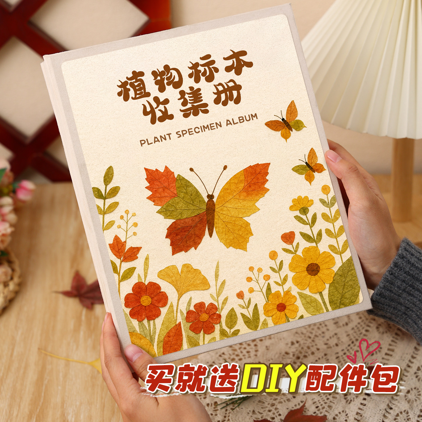 植物标本树叶鲜花收集册随意排列