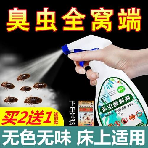 臭屁虫多少钱 臭屁虫价格 小麦优选