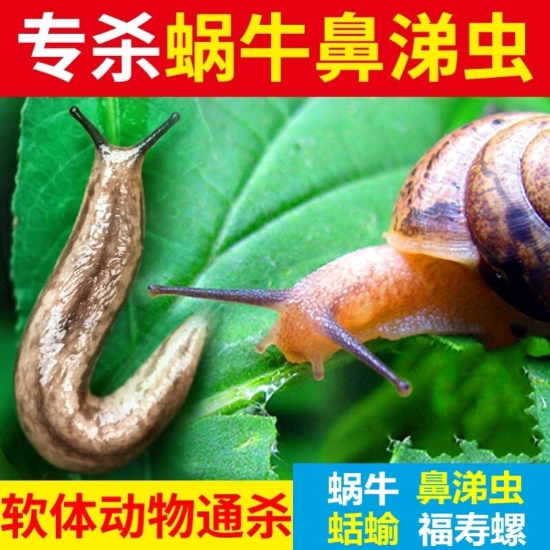 杀蜗牛灭鼻涕虫除蜗螺特效专用药