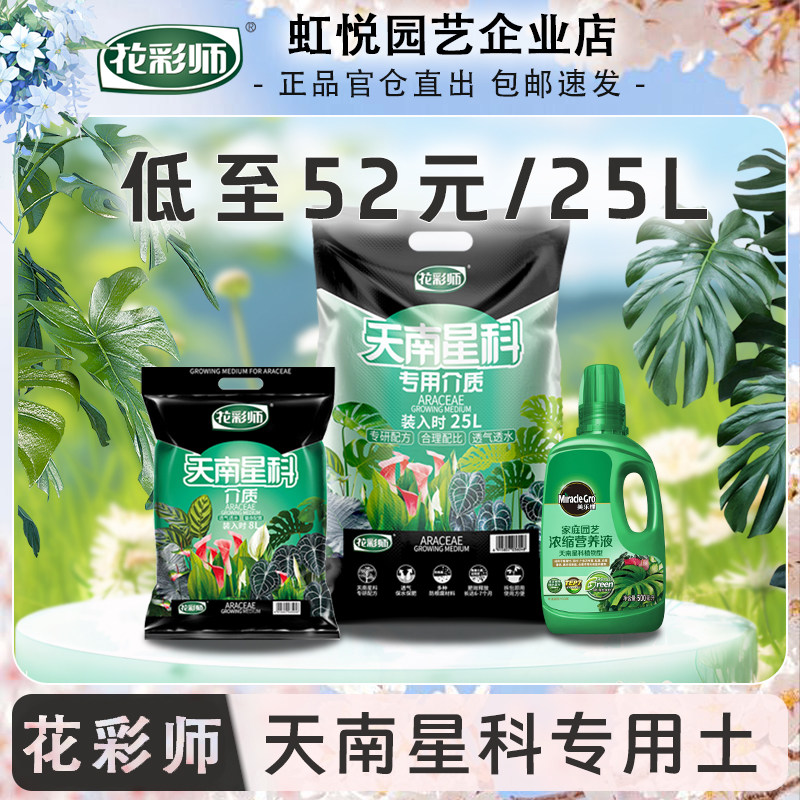 花彩师天南星科龟背竹专用土图片