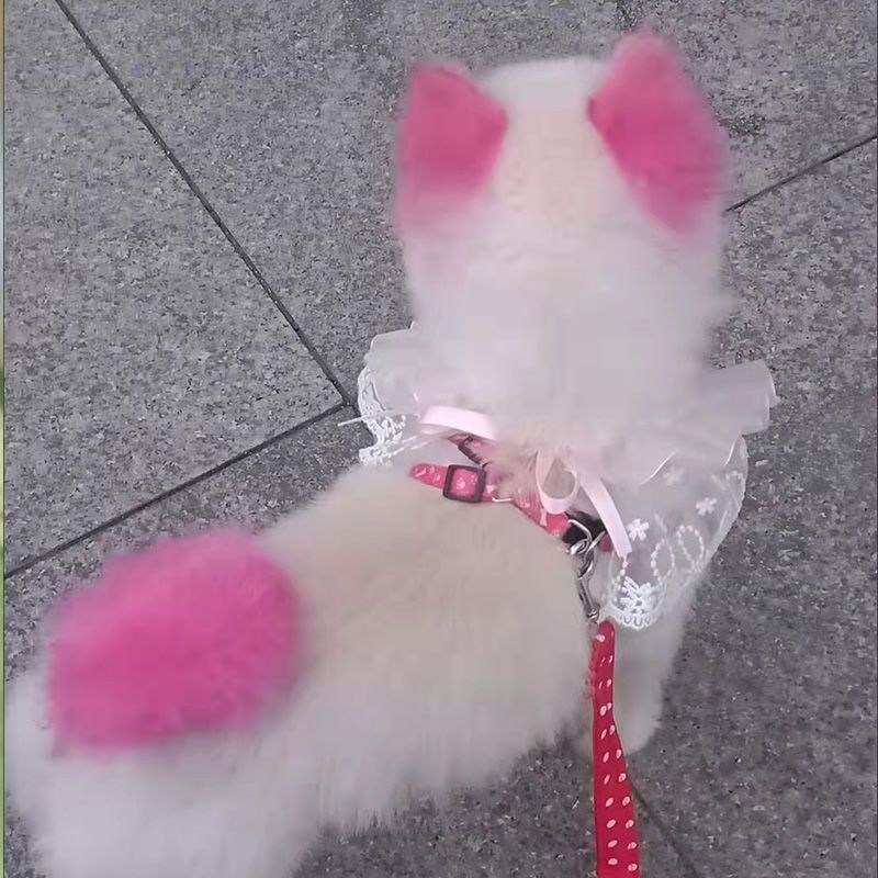 宠物染毛剂猫咪动物专用狗狗染发剂粉红色橙色染色剂白色染毛樱花