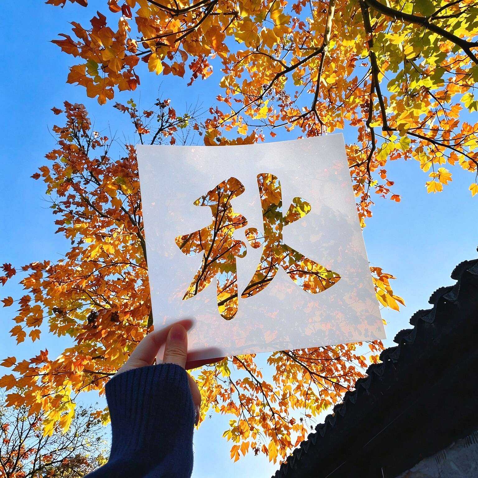 秋字镂空模版秋字镂空剪纸秋日落叶拍照道具氛围感出片背景板神器
