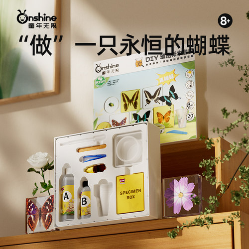 昆虫标本DIY琥珀儿童手工制作