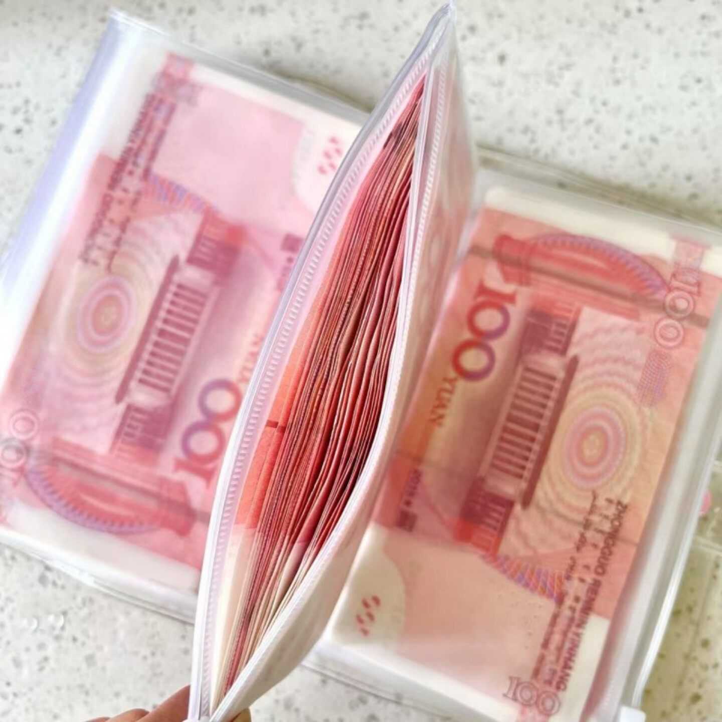 2026年新款存钱本收纳册可放现金理财外币收纳活页记账袋子大容量