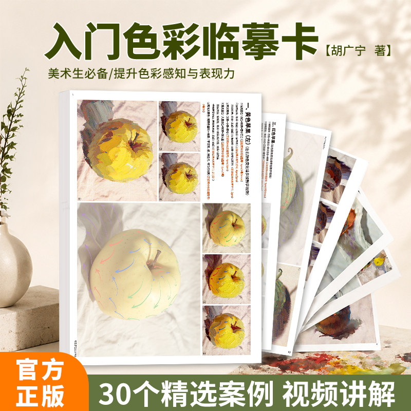 胡广宁入门色彩临摹卡