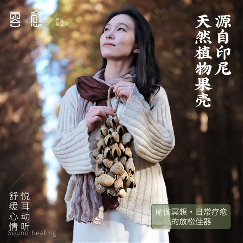 印尼种子壳果实坚果伴奏疗愈乐器音印尼黑果果壳水铃桐果壳