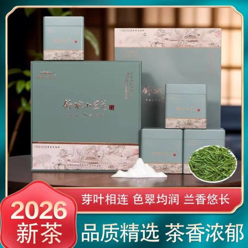 明前小兰花舒城小兰花尊享礼盒装