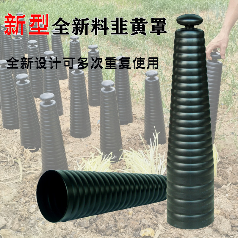诗彩韭黄罩子量大优惠