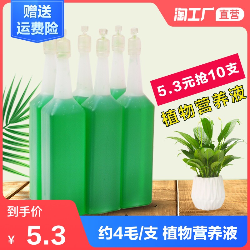绿萝发财树富贵竹水培花卉营养液