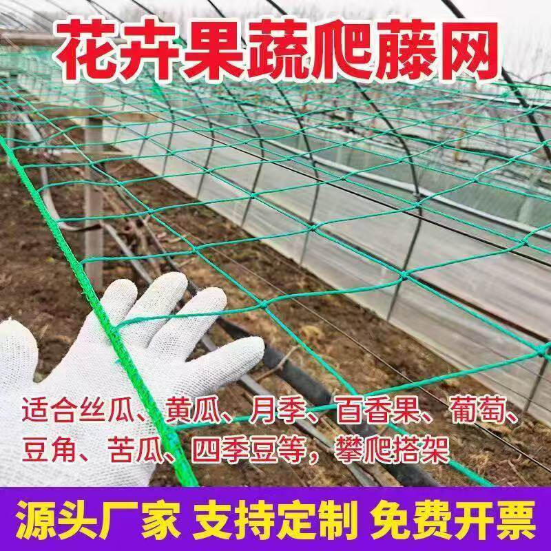 植物爬藤网新型百香果豆角黄瓜月季丝瓜葡萄田园种植网庭院户外网