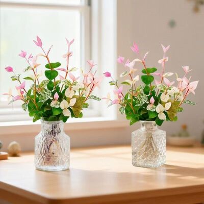 花叶络石水培盆栽彩叶花卉办公室五彩好养绿植客厅室内盆景植物