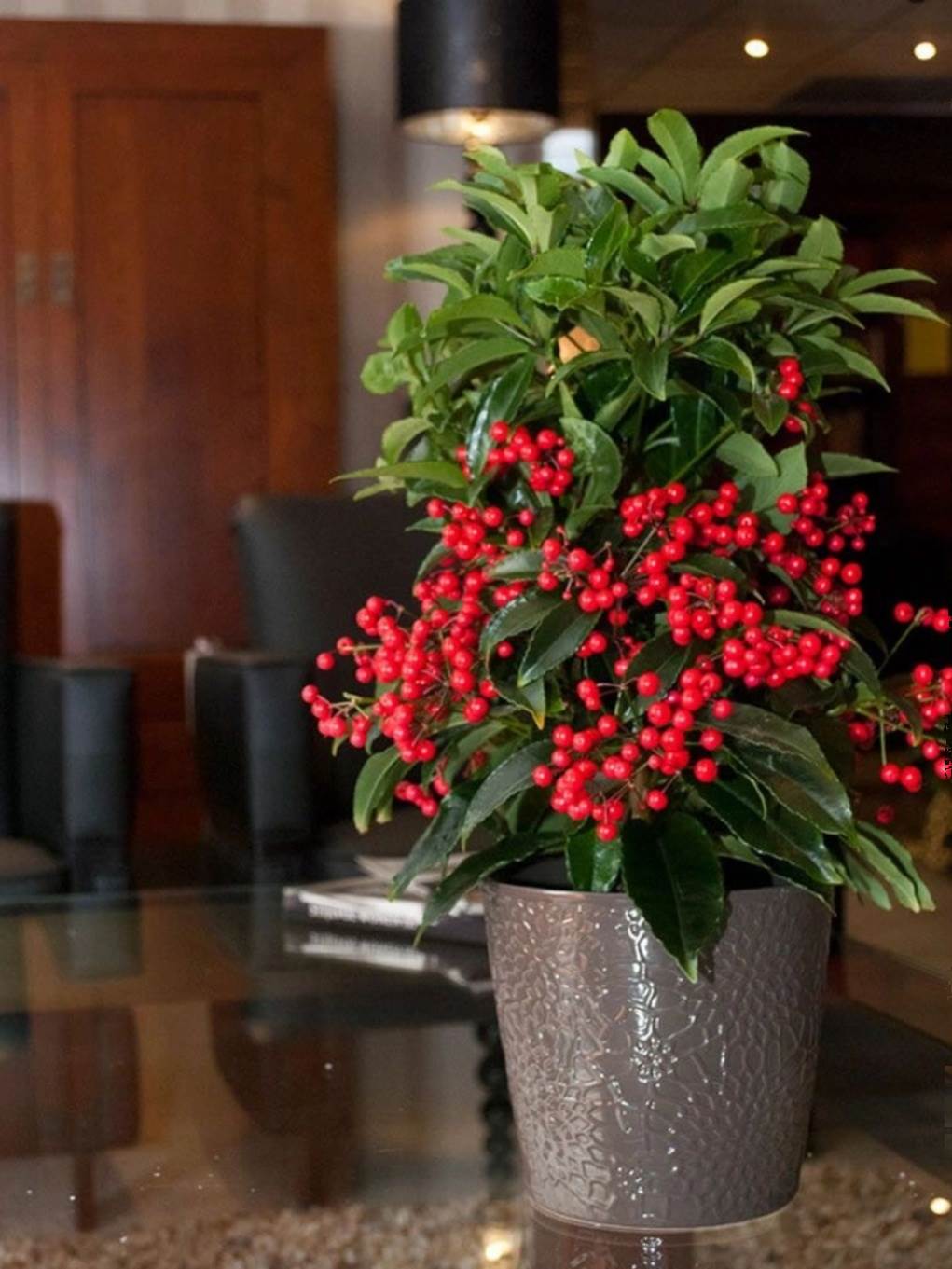 金玉满堂富贵籽室内客厅