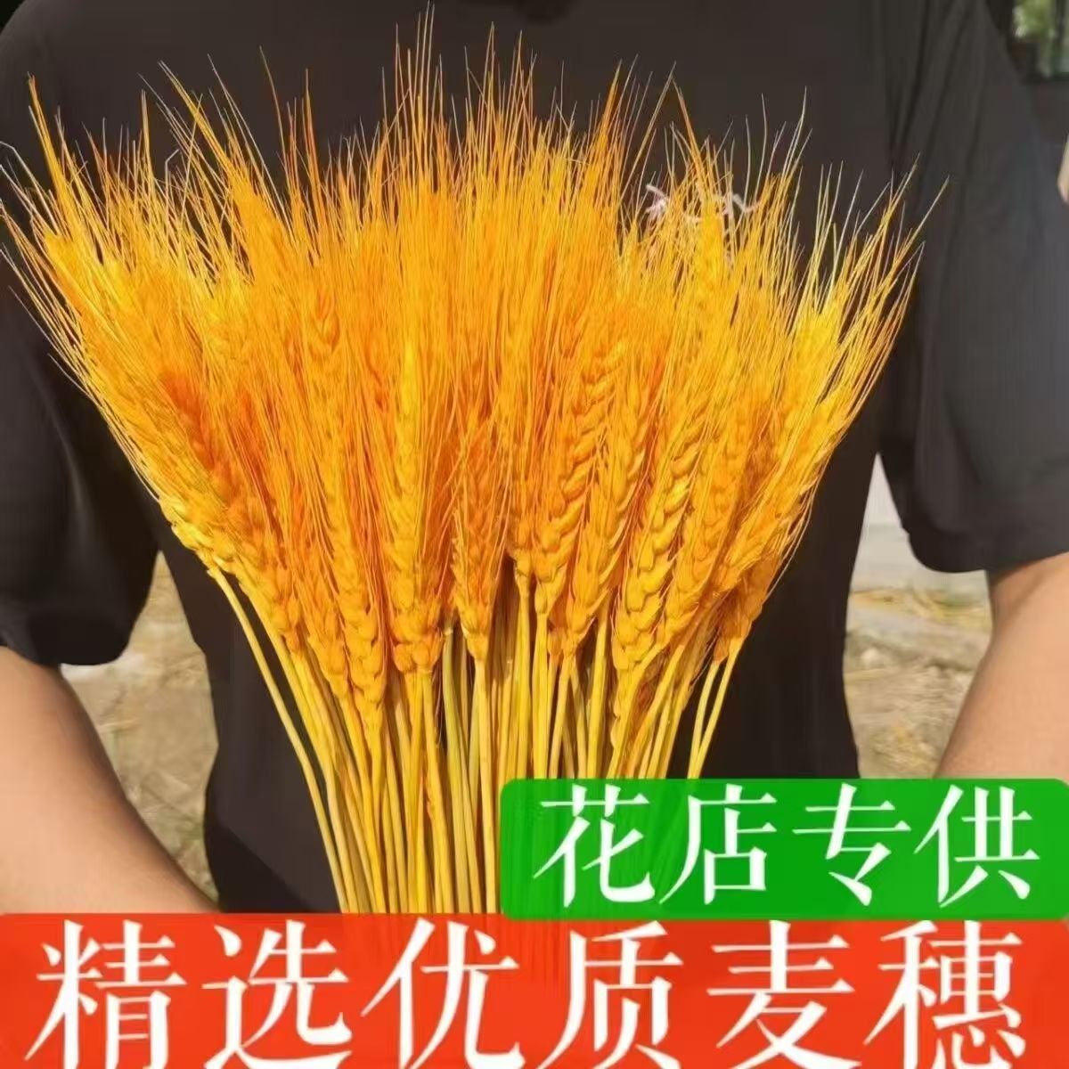 黄金大麦天然麦穗干花插花花束束开业大卖花篮摆件装饰批厂家直发