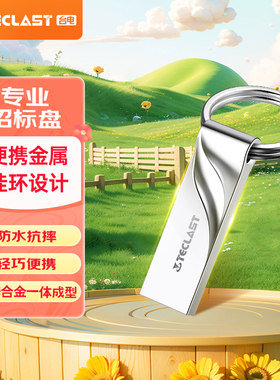 台电（TECLAST）32GB USB2.0 U盘 金属招标投标办公车载U盘大容量
