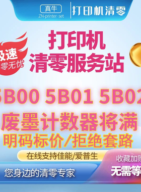 佳能TS8380 TS6220 TS6380 TR8580 TS9580打印机废墨在线远程清零