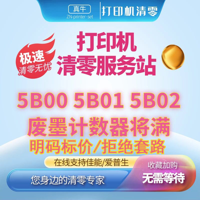 佳能TS8380 TS6220 TS6380 TR8580 TS9580打印机废墨在线远程清零