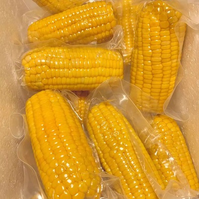 棒小吉水果甜玉米段KFC同款玉米棒开袋即食免煮熟玉米粒甜糯玉米