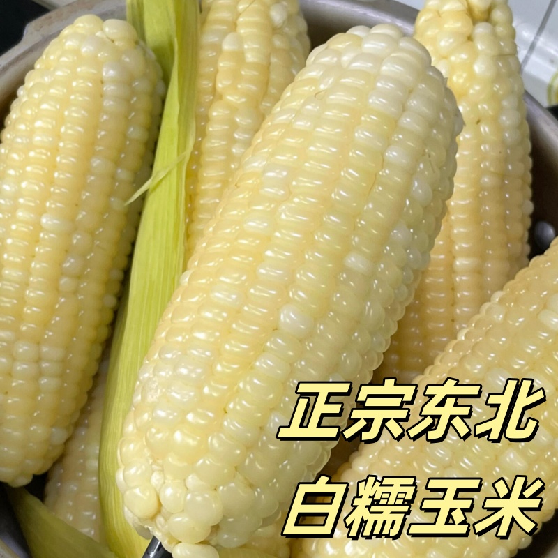 【25年新玉米】东北有机白糯玉米新鲜甜糯玉米棒真空装包非转