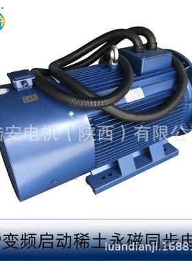 TYP225M3-8-30/90KW2极90千瓦变频高效三相稀土永磁空压机电机