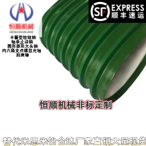 EMA01 EMA02-W50/60/80/100/120带附件平皮带 轻载型 环形挡条