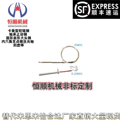 E-ZIM93/ZIM93-D6.5 8 10 12 16-L50~300-W110~500-220V加热器型