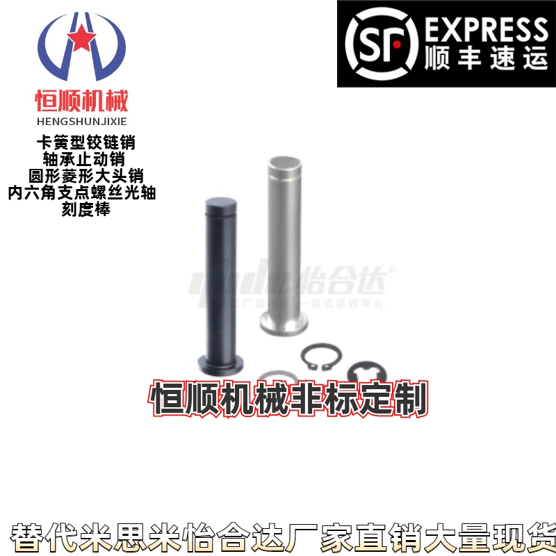 挡圈型专业带肩铰链销