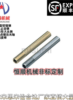 WCP/WCSP3/4/5/6/8/10-100/150/200/250/300铜冷却管不锈钢运水针