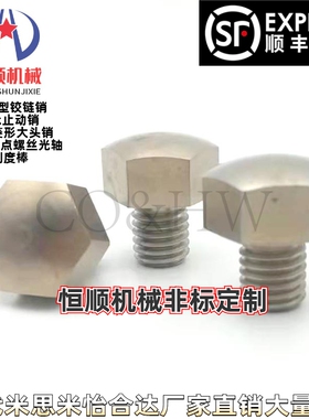 SBTEH5.5/7/8/10/12/14/17/19B螺丝型止动销PAD31固定球面型