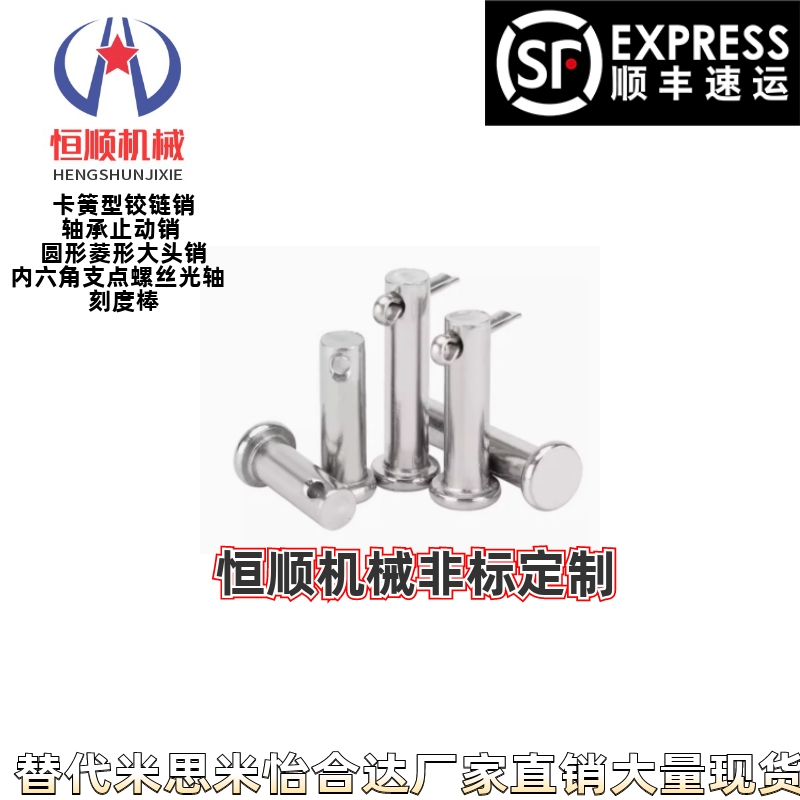 MIB21/31-D5D6D8D10D12D13D14D15D16D17D18D20D22D25带肩铰链销