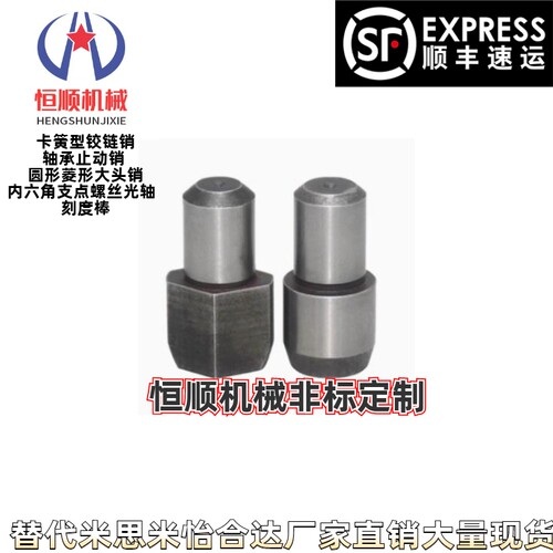 YBP41 42 43 45 46 48-D1 D2 D6 D8 D10 D16-P2-L2-B2大头定位销