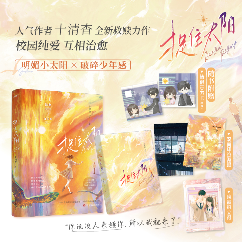 捉住太阳（人气作者十清杳继《你失信了》《白纸与喜欢》后救赎新作破碎少年感×坚韧小太阳言情小说