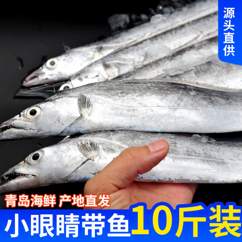 整箱10斤青岛海捕特大小眼带鱼