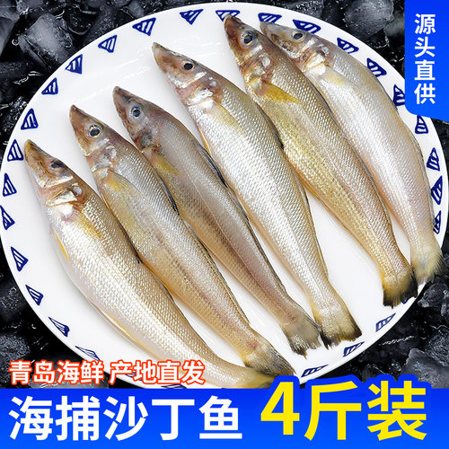 净重4斤去皮去鳞青岛海捕沙丁鱼