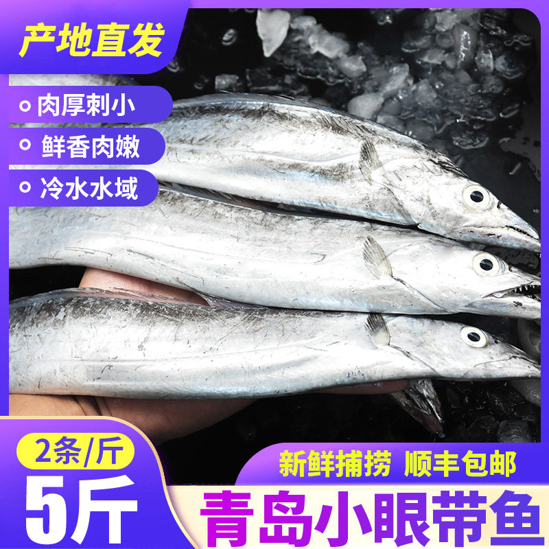 新货 青岛海捕小眼带鱼新鲜冷冻鲜活整箱整条刀鱼5斤黄海油带鱼10