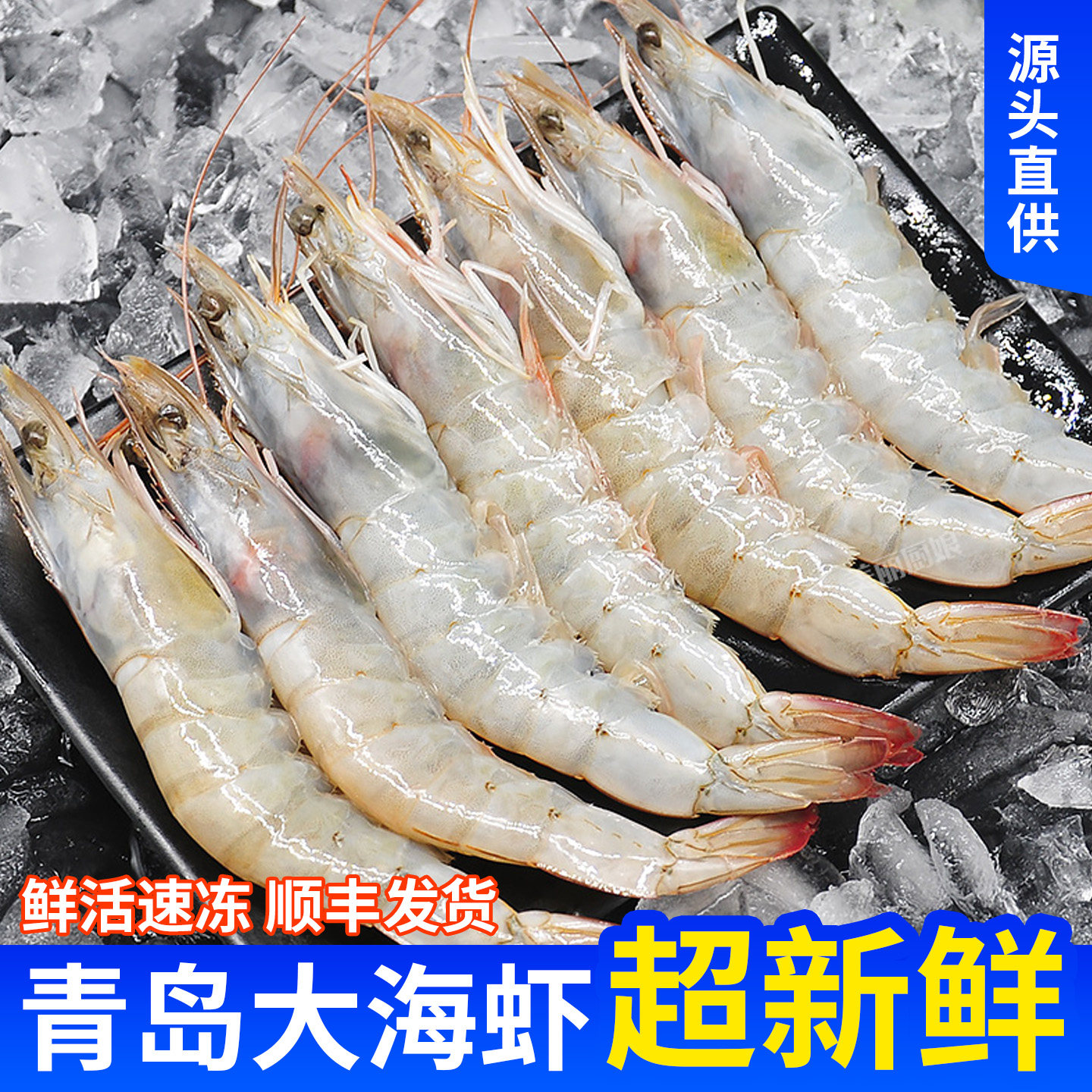 青岛大虾鲜活特大号基围虾青岛虾
