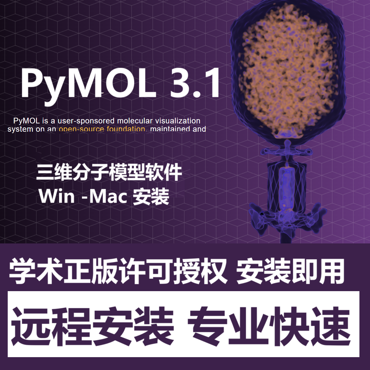 PyMOL 3.1正版软件远程安装 三维分子模型软件许可 win mac m1-3
