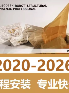 Robot Structural Analysis 软件远程安装 2026 2024 2020 2025
