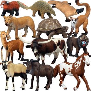 玛奇乐陆地动物模型象龟考拉羊驼黑猩猩考拉狐狸摆件仿真动物玩具