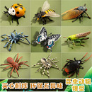 仿真昆蟲玩具模型瑪奇樂鳳尾蝶蟑螂蟬七星瓢蟲蜘蛛兒童動物認(rèn)知