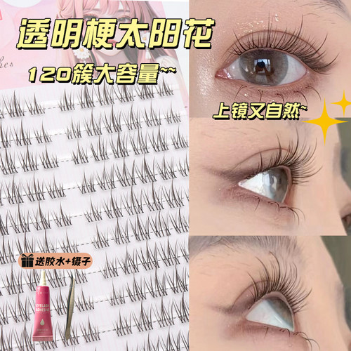 透明梗太阳花假睫毛自嫁接