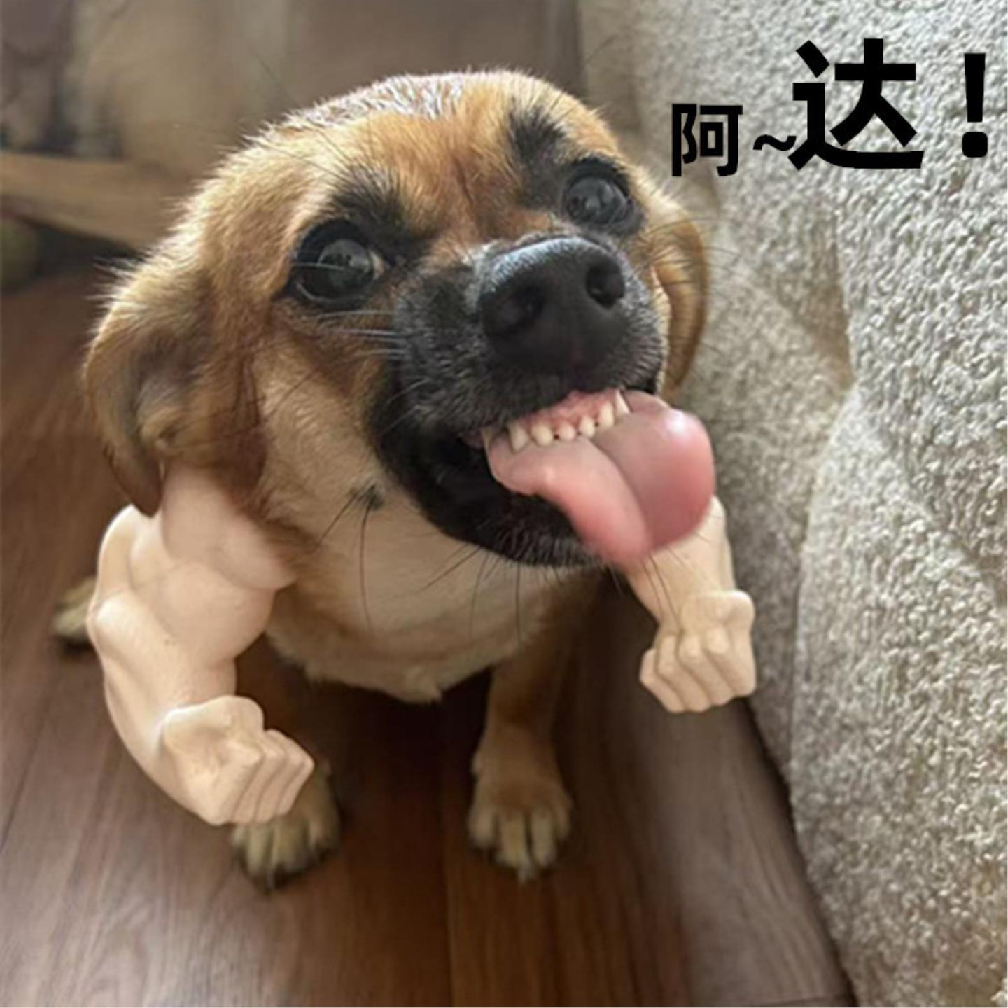 狗狗肌肉挂臂搞怪肌肉拳头搞笑猫咪小拳拳可爱万圣节COS宠物配饰