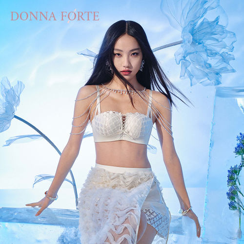 DonnaForte内衣聚拢礼服式无钢圈