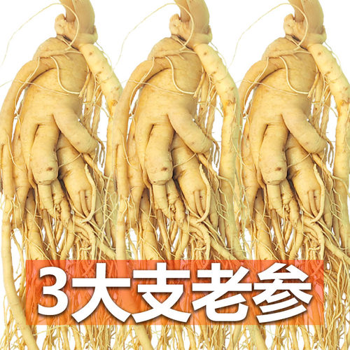 长白山人参煲汤泡酒滋补老参