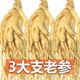 长白山人参煲汤泡酒鲜人参东北特产滋补养生整枝鲜参非野山参