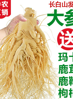 长白山整支鲜人参高年份高品质东北特产炖汤泡酒专用高龄老参滋补