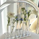 花瓶插花器简约 一排花瓶玻璃试管花瓶网红爆款 花瓶适合餐桌摆放