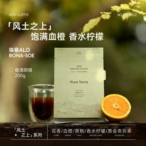 M2MCoffee埃塞ALO水洗风土之上