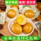 各种鸡蛋乡巴佬盐焗卤蛋即食茶叶蛋休闲五香整箱临期食品特价 清仓