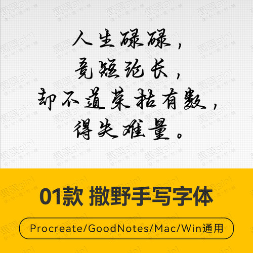 Procreate/Win/GoodNotes/Mac通用  撒野手写字体安装包自动发货